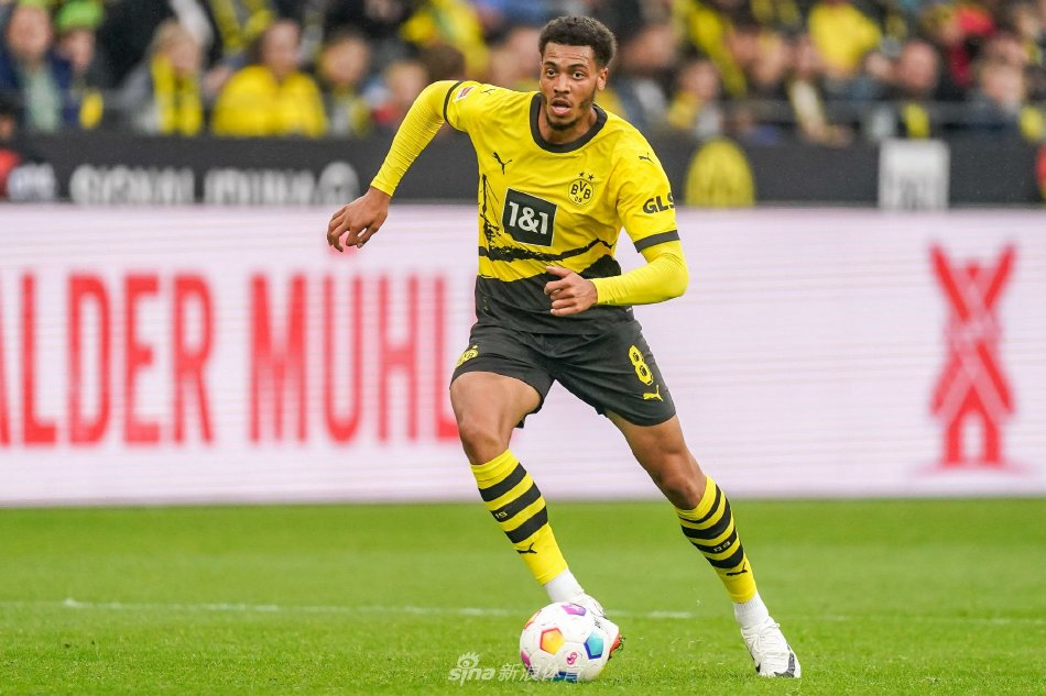 动了运动员 动了运动员